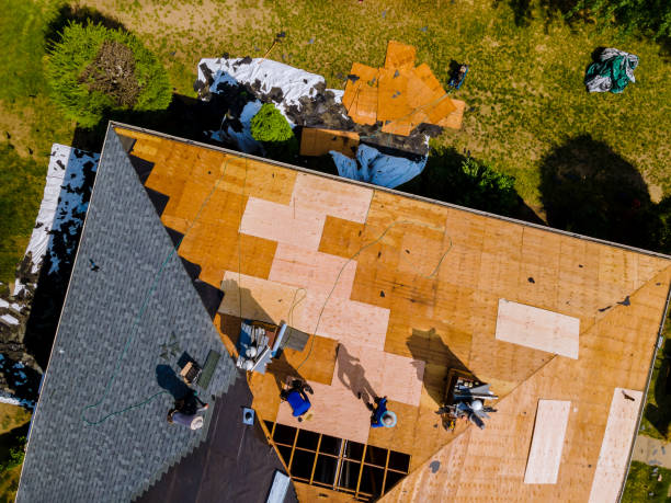 Quick and Trustworthy Emergency Roof Repair Services in Thunderbolt, GA